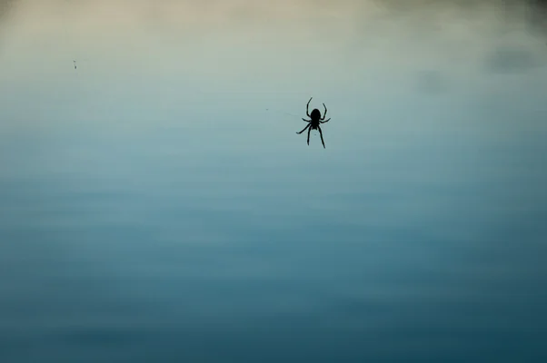 Tratamiento de fobias en Madrid