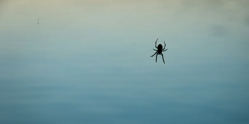 Tratamiento de fobias en Madrid